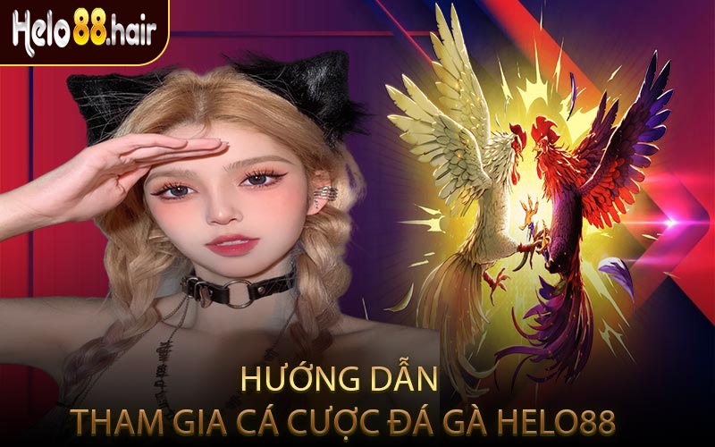Hướng Dẫn Tham Gia Cá Cược Đá Gà HELO88