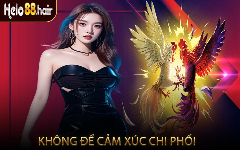 Không để cảm xúc chi phối